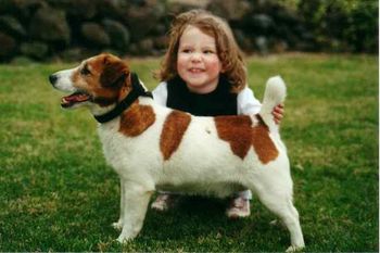 With Rebel the Jack Russell
