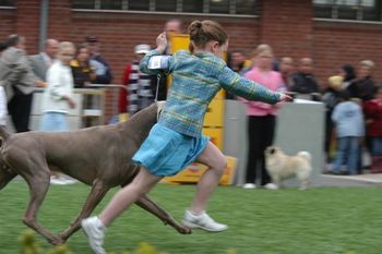 Emily moving Nigel Melb Royal 2007
