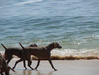 Mary & Scarlett on the beach in Spain
