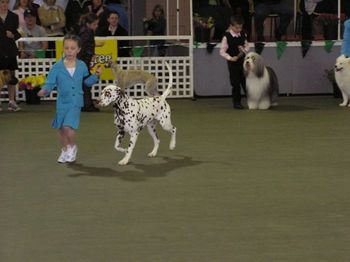 Handlers final 2006 with Freddie
