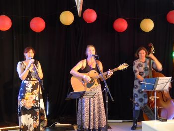 Illawarra Folk Festival 2016.
