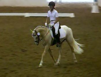 Houston Dressage Show - 69.2%
