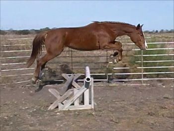 BOING!
