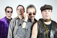 United Snakes 70's rock tribute @ Union Lake michigan