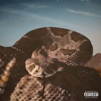 The Texas Rattlesnake by The Teeta
