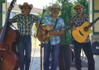 Benefit Auction - the Jangles (trio)