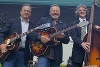 Garth Wedding - the Archtops (Trio)