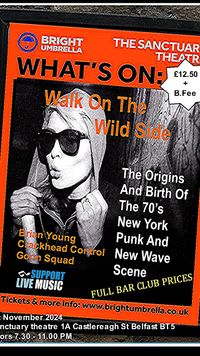 Walk On The Wildside - The origins and birth of the 70's New York Punk and New Wave Scene - Brian Young  / Goon Squad / Crackhead Control