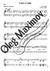 Sylvain Luc - A Night in Tunisia transcription