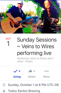 Veins To Wires @Sunday Sessions~*~