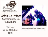 Veins To Wires @ La Morante~*~