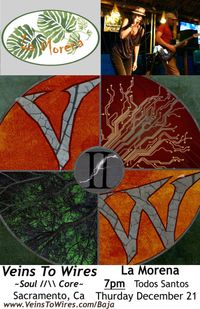 Veins To Wires Returns to La Morena!