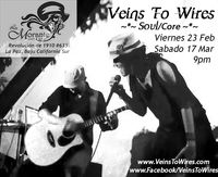 Veins To Wires @ La Morante Art Bar