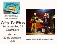 Veins To Wires @The Oasis Pescadero!¡!