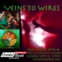Veins To Wires Groove Rocks the Funk Out @ Crooked Tooth Brewing!