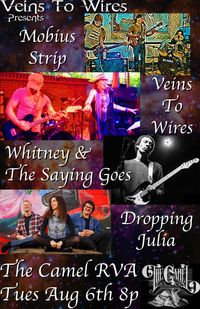 Veins To Wires & Friends @The Camel RVA