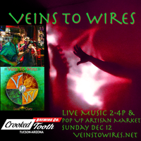 Veins To Wires Live @ Crooked Tooth Pop Up Artisan Market!