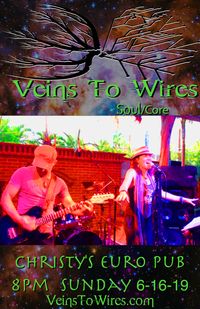 Veins To Wires @Christy's Euro Pub