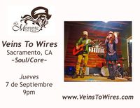 Veins To Wires @ La Morante Art Bar