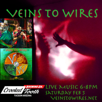 Sing for Sol (Veins to Wires) ~ Wild Heart & Soul / Core at Crooked Tooth Brewing!