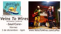 Veins To Wires @ The Oasis Bar & Grill Pescadero