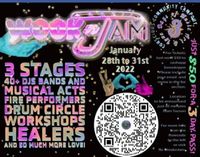 Veins To Wires @ Wook n Jam Festival