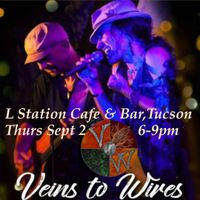 Veins To Wires Acoustic Unwired @ L Street in Tucson!