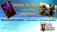 Sunday Sessions - Veins to Wires