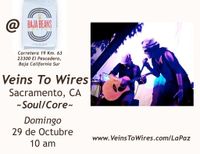 Veins To Wires @ Baja Beans~El Pescadero!¡!