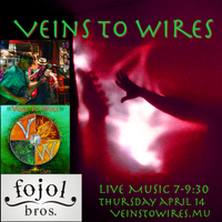 Sing for Sol (Veins To Wires) Grooves Fojol's in Cottonwood, AZ!