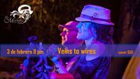 Veins To Wires @La Morante Art Bar