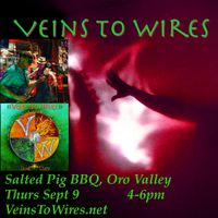 Veins To Wires to Groove the Salted Pig!