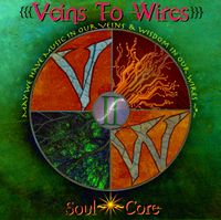 Veins To Wires Live at Borderlands Brewing