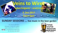 Veins To Wires Sunday Sessions @ Todos Santos Brewing