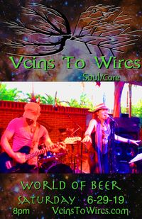 Veins To Wires at World Of Beer~Charlottesville, VA