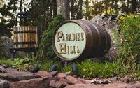 Josi Davis 