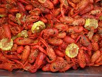 Charlestown Seafood Fest
