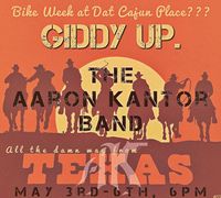 The Aaron Kantor Band