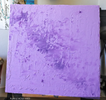SOLD - PURPLE ROSE 0003