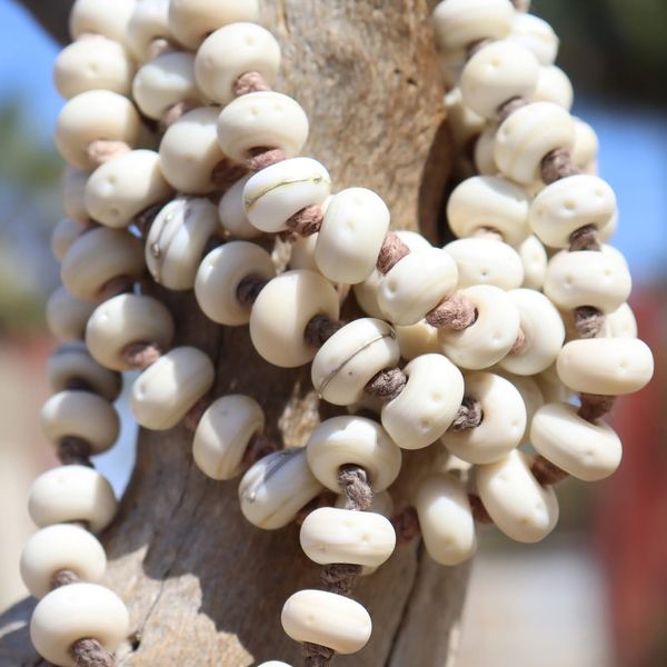 Shell Ivory Necklace