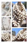 Shell Ivory Necklace
