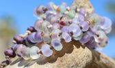 Ibiza Heather Necklace 