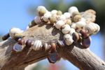 Sun Bleached Necklace