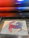 Rainbow Roll Cosmic Space Horse Print
