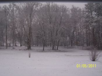 Winter wonderland out our back door 01/05/11.
