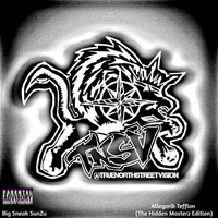 Allegorik Tefflon (The Hidden Masterz Edition) by Big Sneak SunZu
