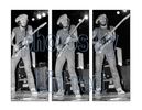 Bruce Springsteen Triptych - photos by kid red