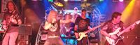 Wildside LIVE at Tower Hill Tavern  