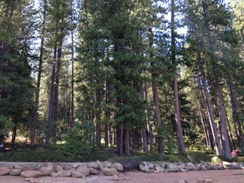 Northern CA, Sept. 2016
