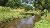 Santa Cruz River Cleanup at Tumacacori Mission
